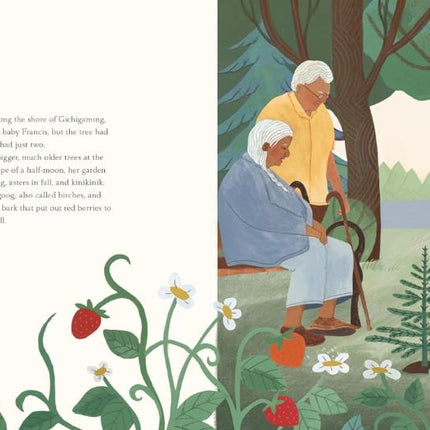 A Family Tree: An Ojibwe Picture Book About Nature, Resiliency, and Roots for Kids