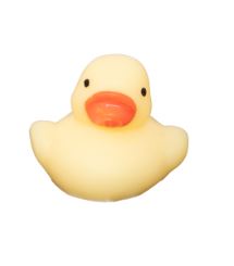 Squishi Duck