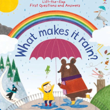 Lift-the-flap First Questions & Answers what makes it rain?