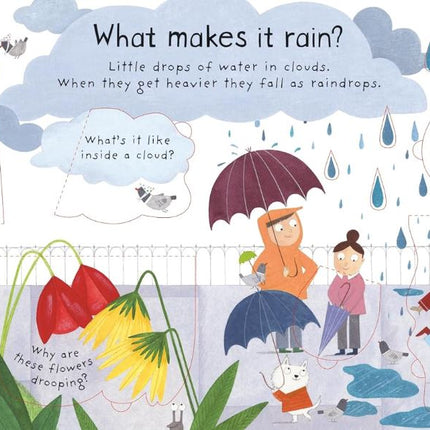 Lift-the-flap First Questions & Answers what makes it rain?