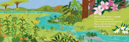 When Water Flows - Board Book