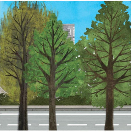 Trees Stand Tall - Board Book