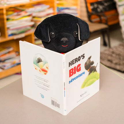 Kimochis® Hero's Big Adventure