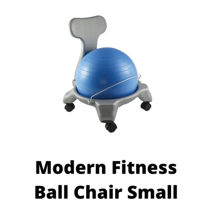 Modern Fitness Ball Chair Small