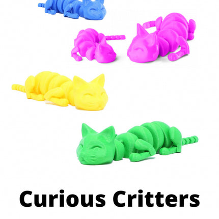 Curious Critters Cat