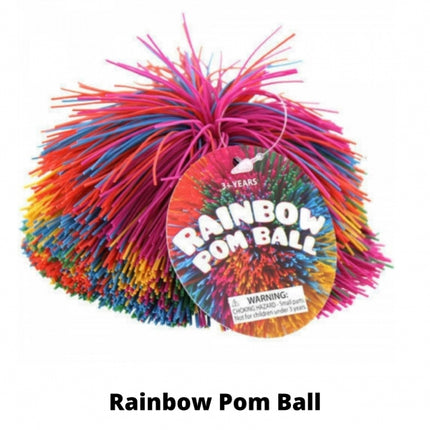 Rainbow Pom Ball
