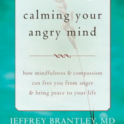 Calming Your Angry Mind