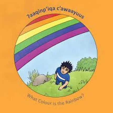 What Colour is the Rainbow?