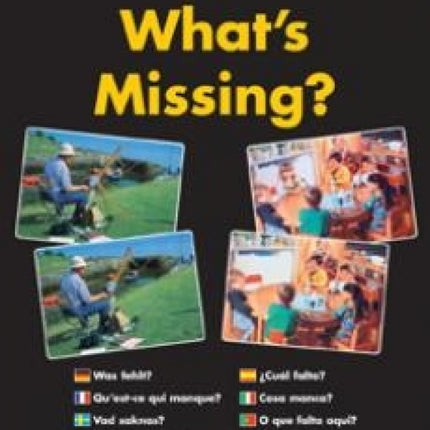 What's Missing?