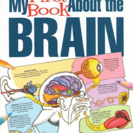 My First Book About the Brain