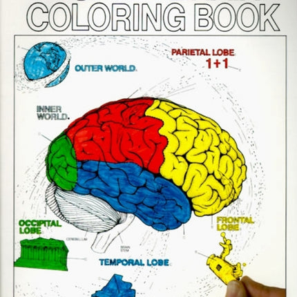 Human Brain Coloring Book