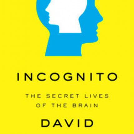 Incognito: the Secret Life of the Brain