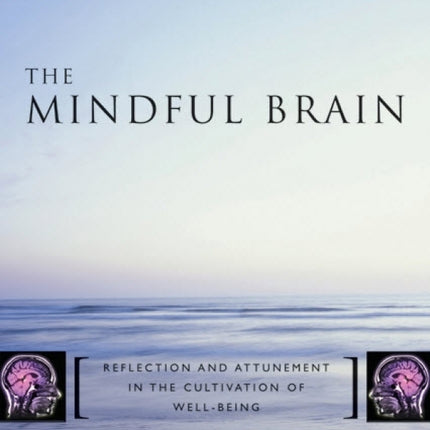 Mindful Brain: Reflection & Attunement In the Cultivation of Well-Being