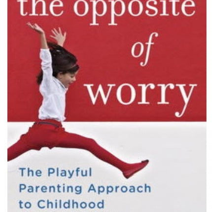 Opposite of Worry