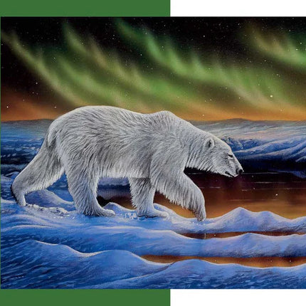 Polar Night 500 Piece Puzzle