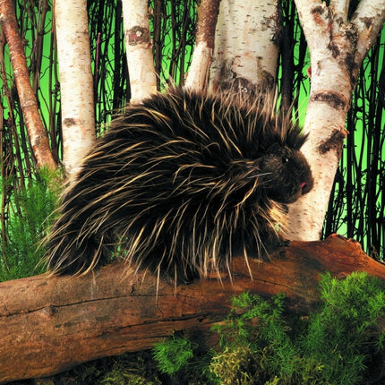 Porcupine Puppet