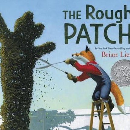 Rough Patch