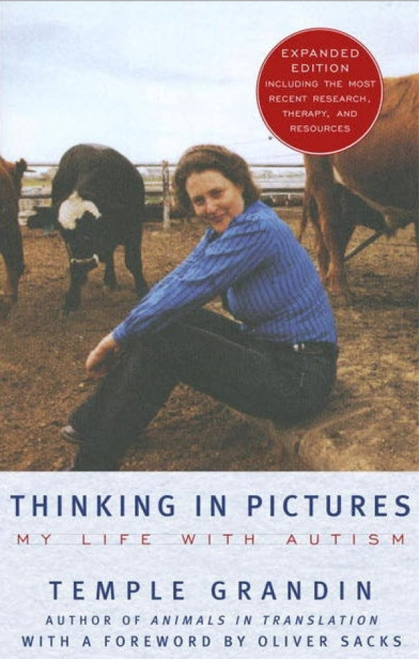 Thinking in Pictures