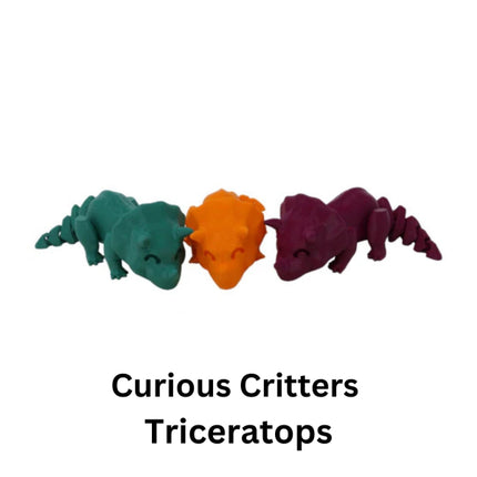 Curious Critter Triceratops