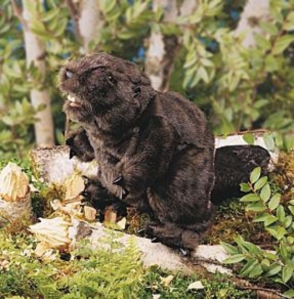 Beaver Puppet<br>  (Folkmanis)